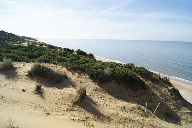 Doñana National Park in 4x4 and El Rocío - El Rocío: the pilgrimage town at Doñana’s doorstep