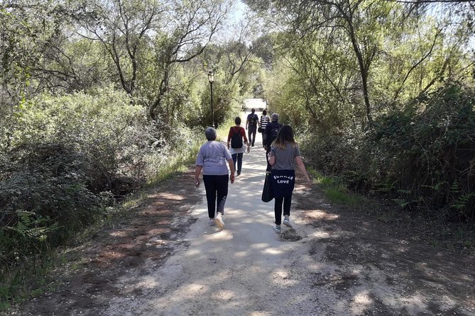 Doñana National Park in 4x4 and El Rocío - Price and logistics from Seville: what $107.17 really covers