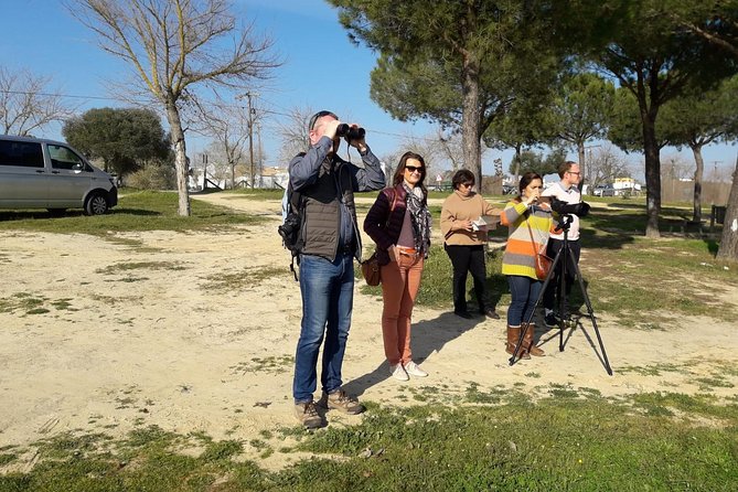 Doñana National Park in 4x4 and El Rocío - Should you book this tour?