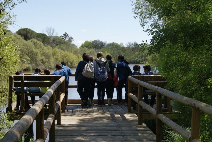 Doñana National Park Off-Road Tour from Seville - Key things to know before you go