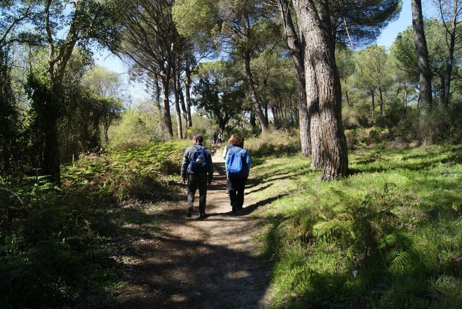 Doñana National Park Off-Road Tour from Seville - Why this Doñana off-road tour feels worth it from Seville