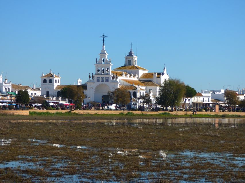Doñana National Park Off-Road Tour from Seville - Inside the reserve: wetlands, birds, pine forests, and dune country