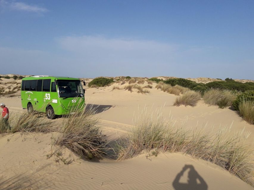 Doñana National Park Off-Road Tour from Seville - The longest beach in Spain: a calm finish with seabirds