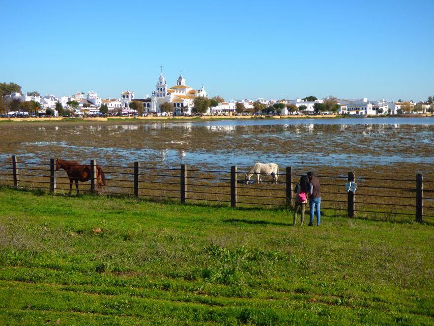 Doñana National Park Off-Road Tour from Seville - Hotel pickup and the rhythm of a 10–11 hour day