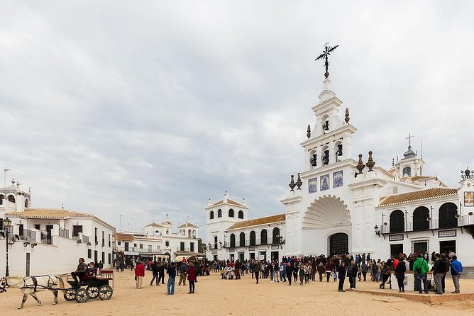 El Rocio, Donana Natural Park and Matalascanas Beach Day Trip from Seville - Wildlife expectations (and how to watch smart)