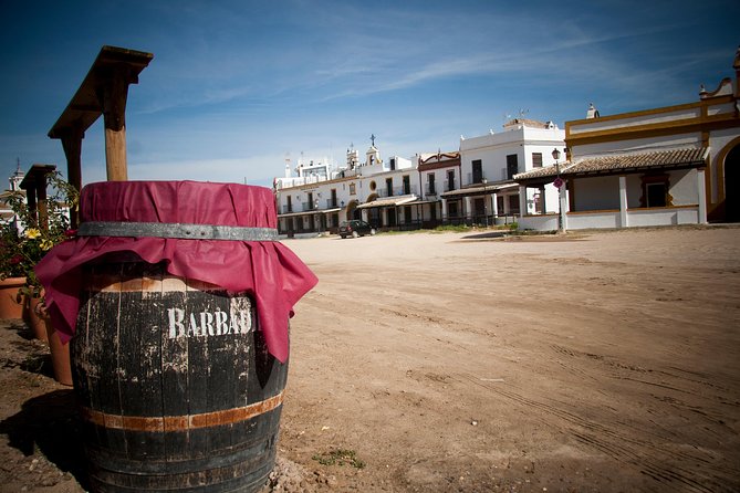 El Rocio, Donana Natural Park and Matalascanas Beach Day Trip from Seville - Price and value: what $147.02 buys you