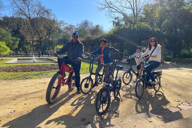 Electric Bicycle Rental in Seville - Choosing the Right E-Bike: Standard Models vs Electric Fatbikes