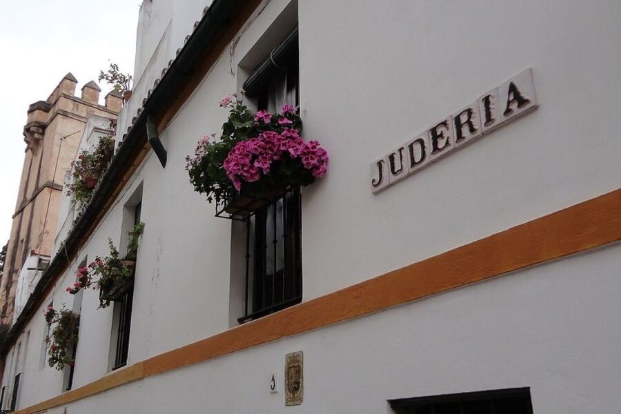 Enchanted Seville: Private Walking Tour - Who Should Book This Private Santa Cruz Evening?