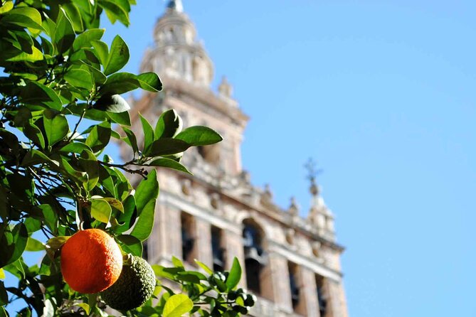 Essential Seville Tour - The real value of a 3-hour Seville highlights route