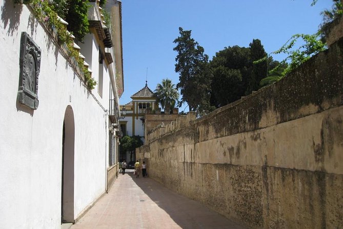 Essential Seville Tour - Who should book this Seville tour?