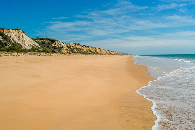 Excursion to the beaches of Huelva from Seville - Private tour - Key things to know before you go