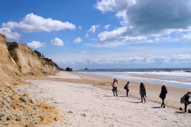Excursion to the beaches of Huelva from Seville - Private tour - What You Pay for: Value, Inclusions, and the Lunch Gap