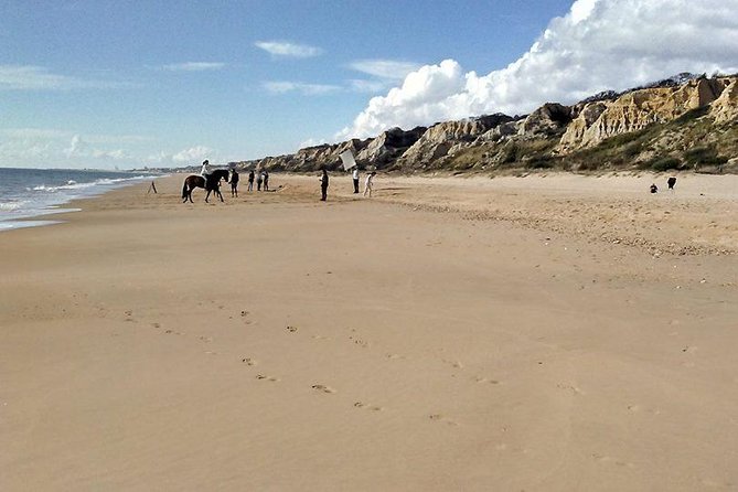 Excursion to the beaches of Huelva from Seville - Private tour - Who This Private Huelva Beach Day Fits Best