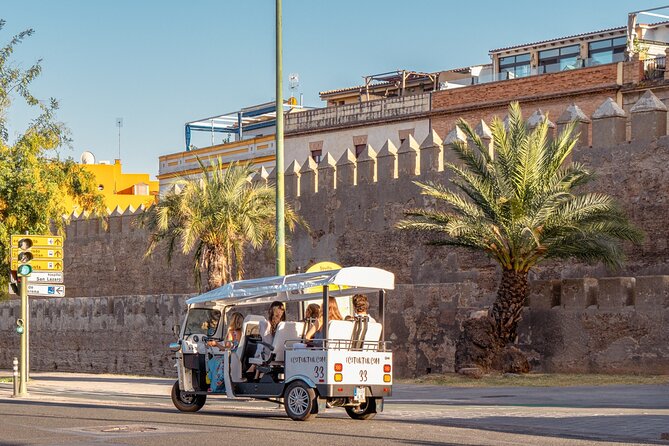 Expert Tour of Seville in Private Eco Tuk Tuk - Triana and the Isabel II (Triana) Bridge: River Views and Snack Energy
