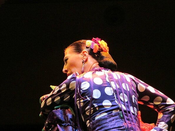 Flamenco Show "Museo de Baile Flamenco" - Key things to know before you go