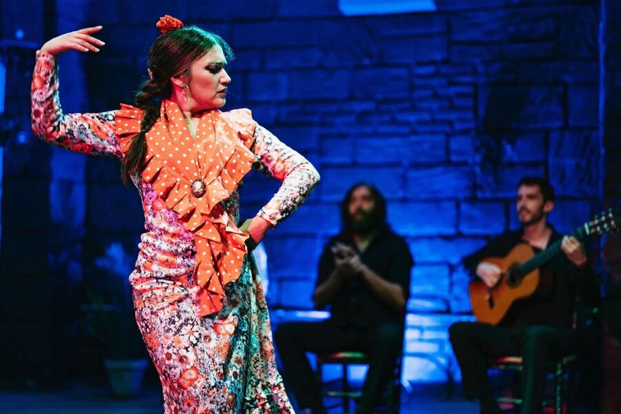 Flamenco Show & Sangria Tasting - The live music and dancers: why this format works