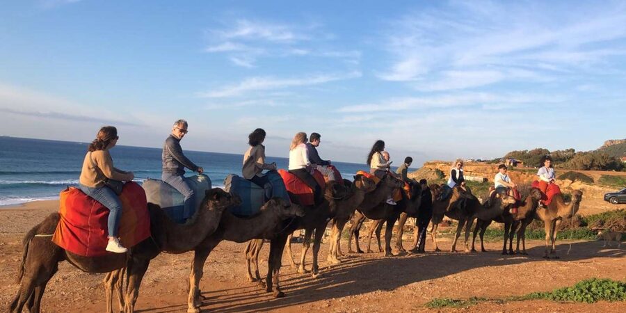 From Sevilla: Tangier full day guided tour all inclusive - Tangier Medina on foot: Kasbah area, markets, and American Legation