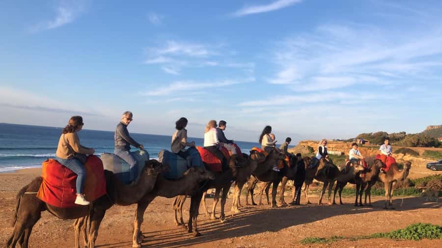 From Sevilla: Tangier full day guided tour all inclusive - Safety and service: how the driver/guide team makes the day work