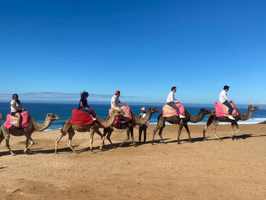 From Seville: 2, 3, or 4-Day Morocco Trip with Ferry & Guide - Key Points You’ll Care About