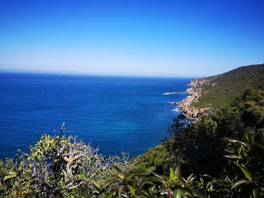 From Seville: 2-Day Trip to Tangier 🐪 - The Strait of Gibraltar ferry: views, timing, and why schedules matter