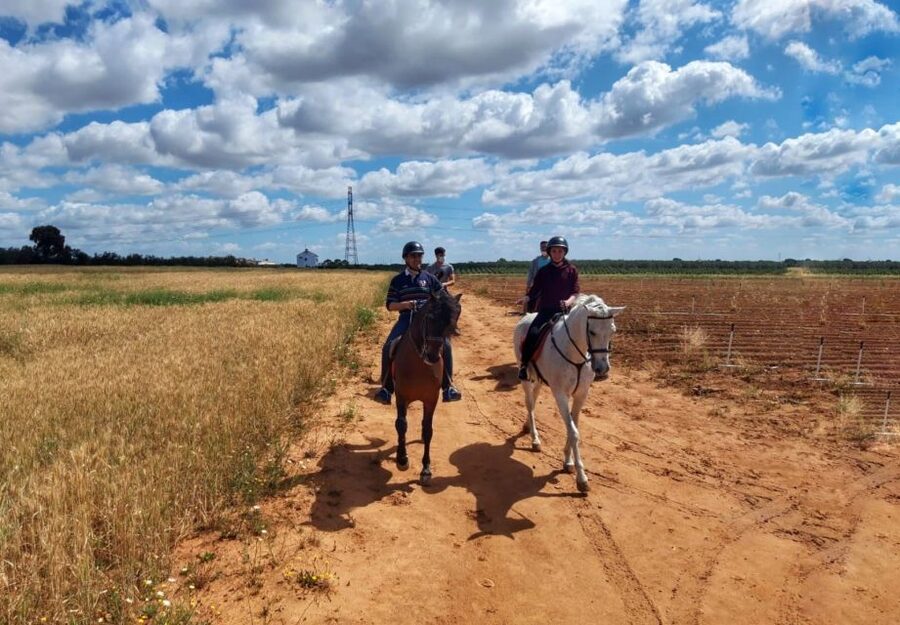 From Seville: Andalusian Horseback Ride - From Seville to the ranch: the 35–40 minute reset