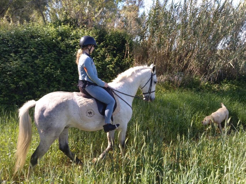 From Seville: Andalusian Horseback Ride - Safety and comfort: helmets, stirrups, and what to wear