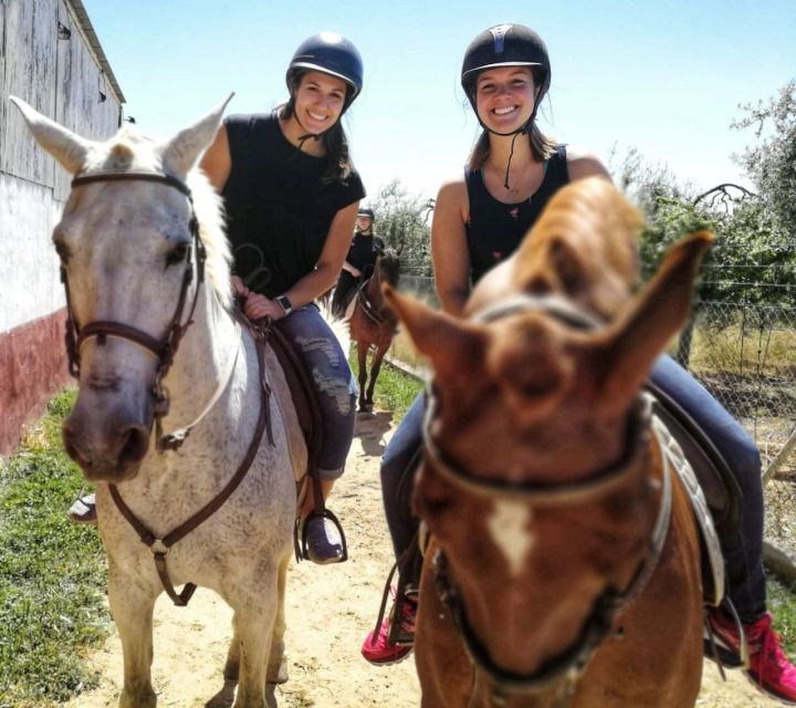 From Seville: Andalusian Horseback Ride - Price and value: what $164 really buys you