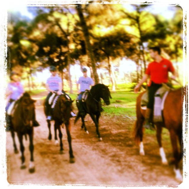 From Seville: Andalusian Horseback Ride - Who should book this ride (and who should consider another option)
