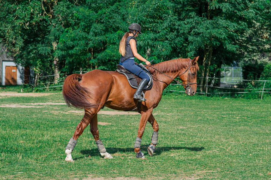 From Seville: Andalusian Horseback Ride - Should you book this Andalusian horseback ride?