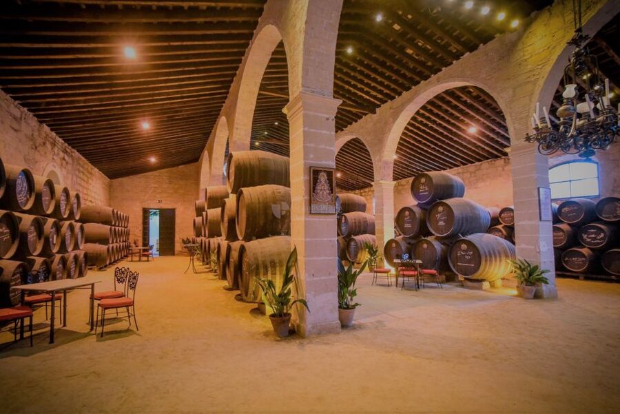 From Seville: Cadiz and Jerez de la Frontera Day Trip - The guides: why this tour’s reputation is mostly human