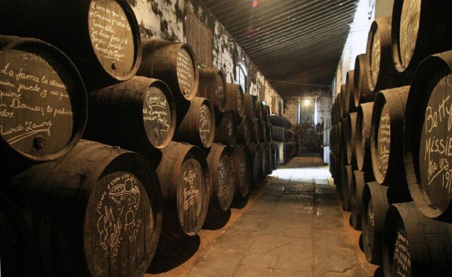 From Seville: Cadiz and Jerez de la Frontera Day Trip - Jerez de la Frontera on foot: short walk, big atmosphere