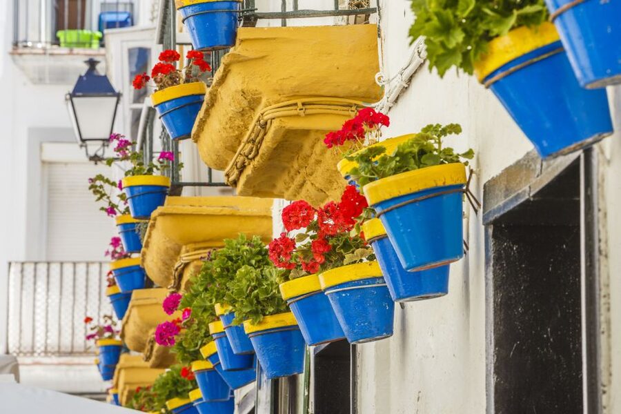 From Seville: Cadiz and Jerez de la Frontera Day Trip - Free time at the end: how to use those last minutes wisely
