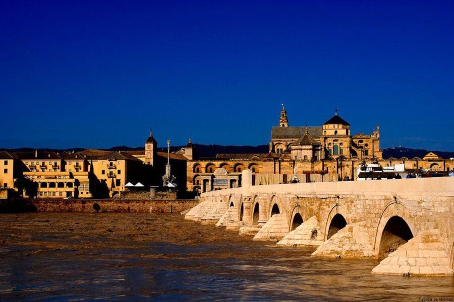 From Seville: Cordoba and Mosque Cathedral Guided Tour - Should you book the Seville to Córdoba Mosque-Cathedral guided tour?