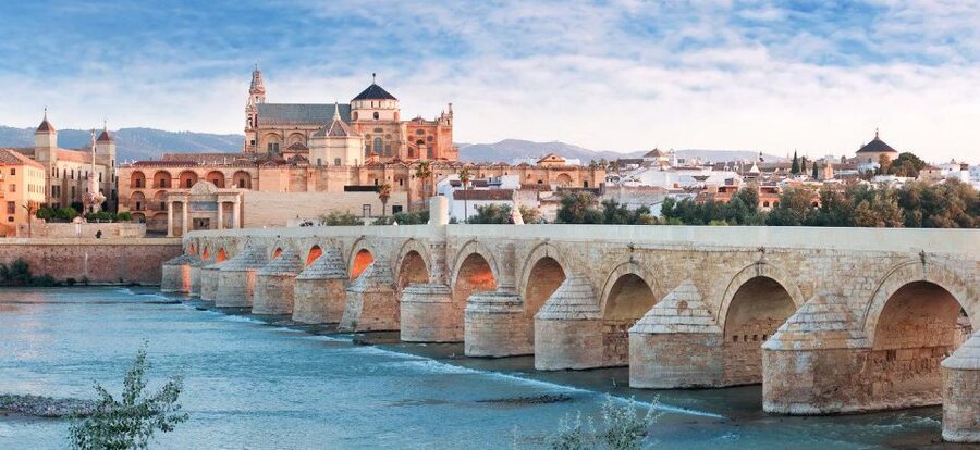 From Seville: Cordoba and Mosque Cathedral Guided Tour - Guides, language, and group experience: how this runs in real life
