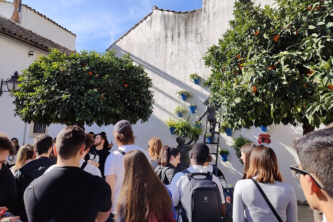 From Seville: Cordoba and Mosque-Cathedral Skip the Line - Alcázar area and Don Pedro’s fortress: where the day gets dramatic