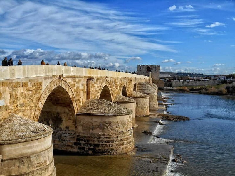 From Seville: Cordoba Day Trip with Guided Tour - Seville to Cordoba: why this format works so well
