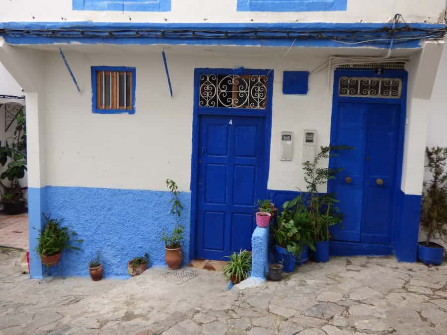 From Seville: Day Trip to Tangier with Lunch - Rachid in Tangier: why a strong guide changes everything