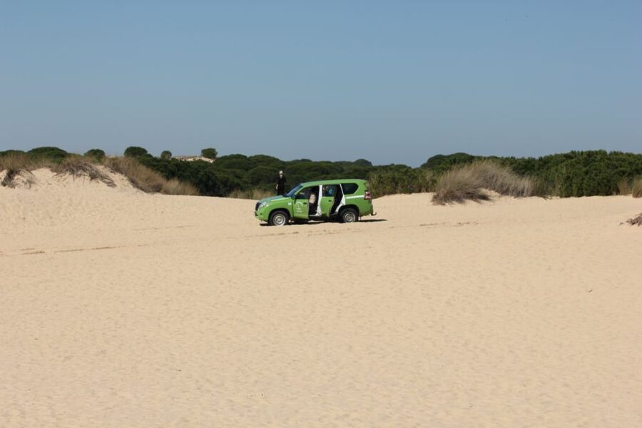From Seville: Doñana, El Rocio, and Matalascañas Beach Tour - Matalascañas Beach: using your free time well