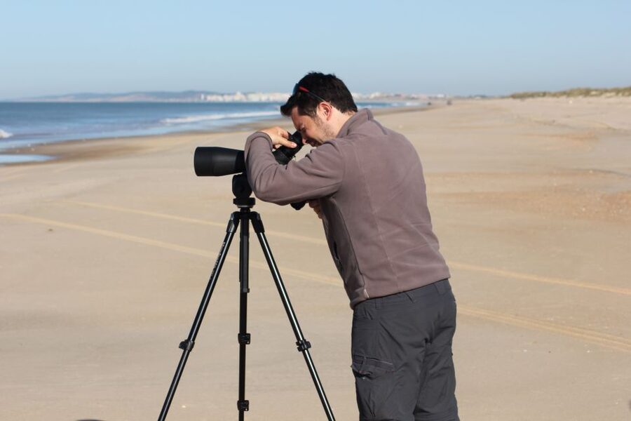 From Seville: Doñana, El Rocio, and Matalascañas Beach Tour - Price and value: is $132 a fair deal for this route?