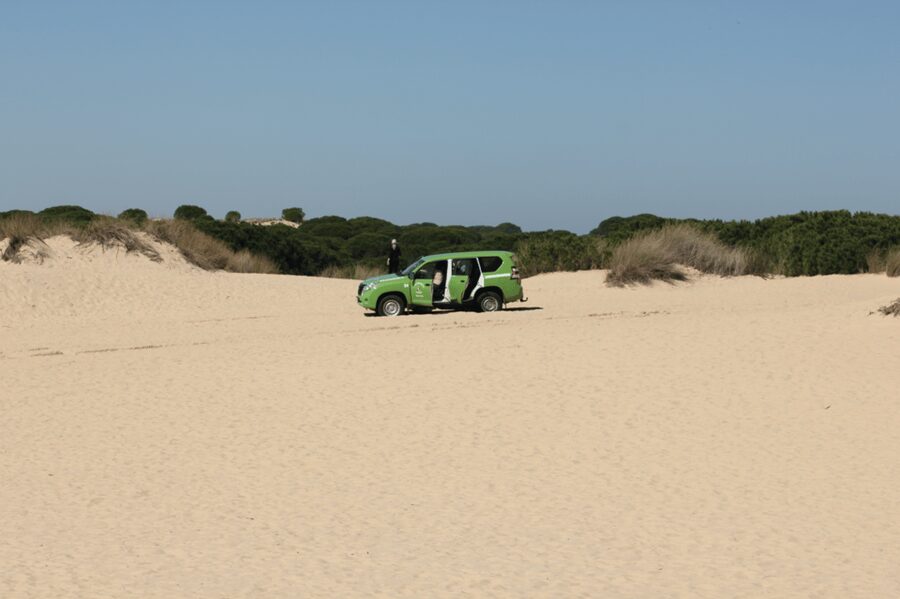 From Seville: Doñana, El Rocio, and Matalascañas Beach Tour - Seville pickup, timing, and how not to waste your day