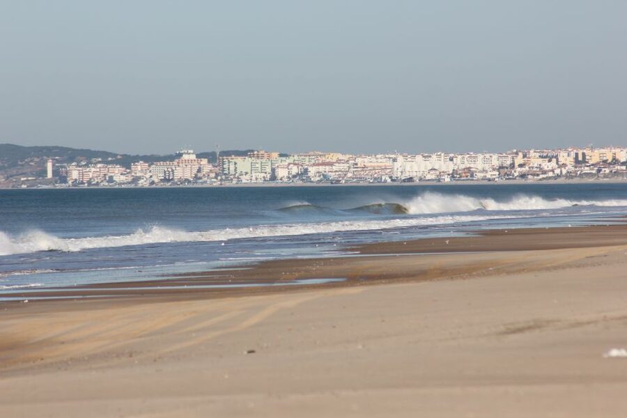 From Seville: Doñana National Park Full-Day Private Tour - Doñana’s wetland mix makes this more than a sightseeing day