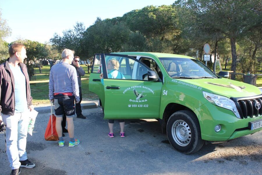 From Seville: Doñana Natural Park, El Rocio and Matalascañas - Should you book this Seville day trip to Doñana, El Rocío, and Matalascañas Beach?