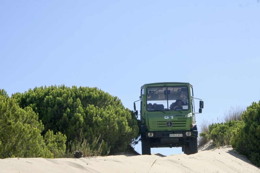 From Seville: Doñana Natural Park, El Rocio and Matalascañas - Seville to Doñana in under an hour: how the day starts