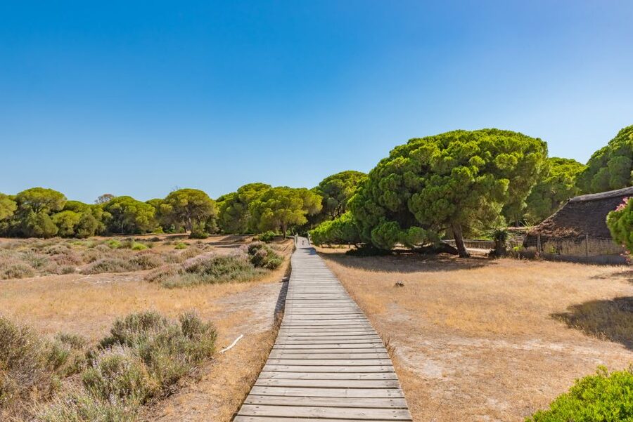 From Seville: Doñana Natural Park, El Rocio and Matalascañas - Price and value: does $105 make sense?