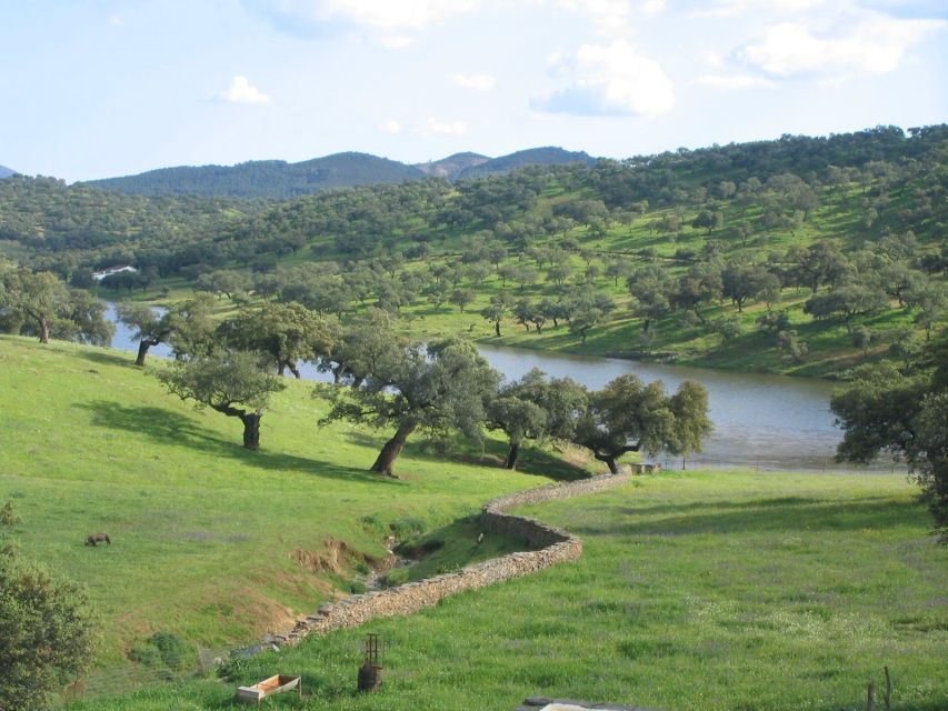 From Seville: Full-Day Aracena & Rio Tinto Mines Tour - Dehesas de Sierra Morena Biosphere Reserve: Why This Is More Than Pretty Scenery