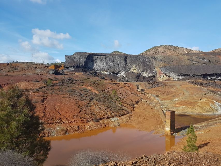 From Seville: Full-Day Aracena & Rio Tinto Mines Tour - Best Guide Fit: What to Look For on Your Day Trip