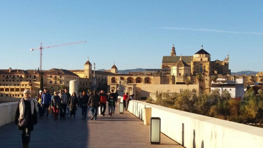 From Seville: Full-Day Essential Córdoba Tour - Carmona photo stop: a quick palate cleanser before Córdoba