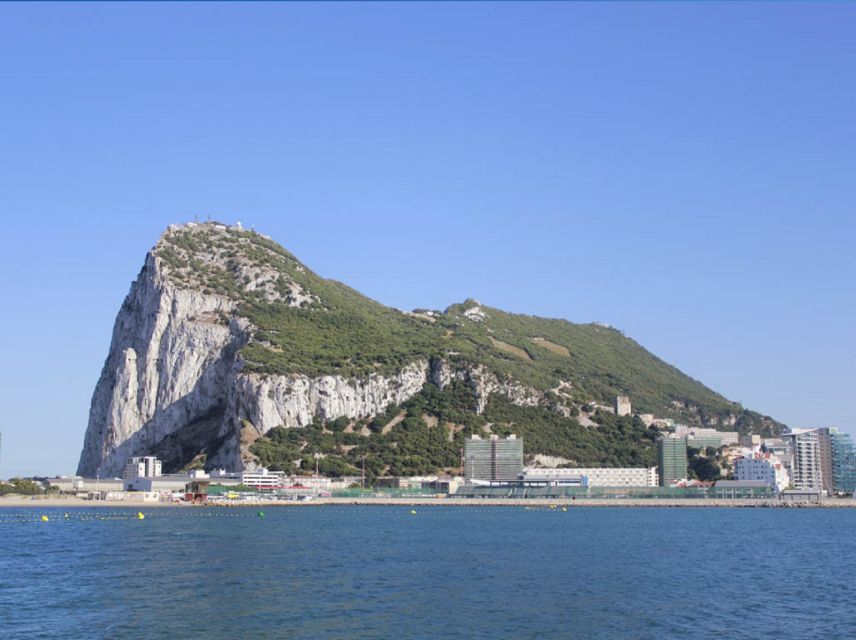 From Seville: Full-Day Trip to Gibraltar - The Rock of Gibraltar: nature reserve views with a guided plan