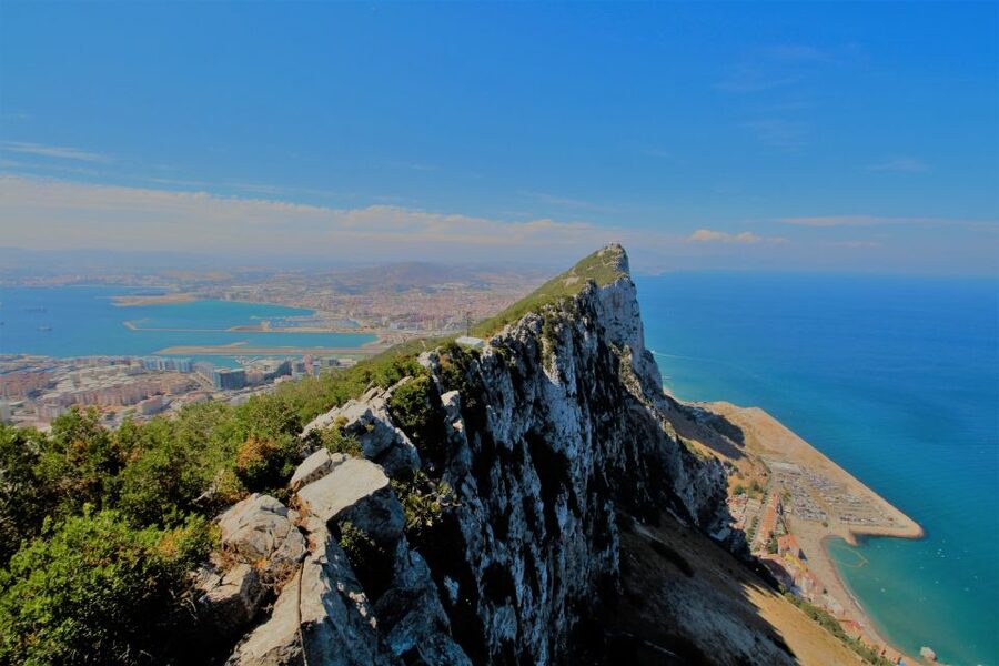 From Seville: Full-Day Trip to Gibraltar - Barbary apes on the Rock: the moment everyone remembers