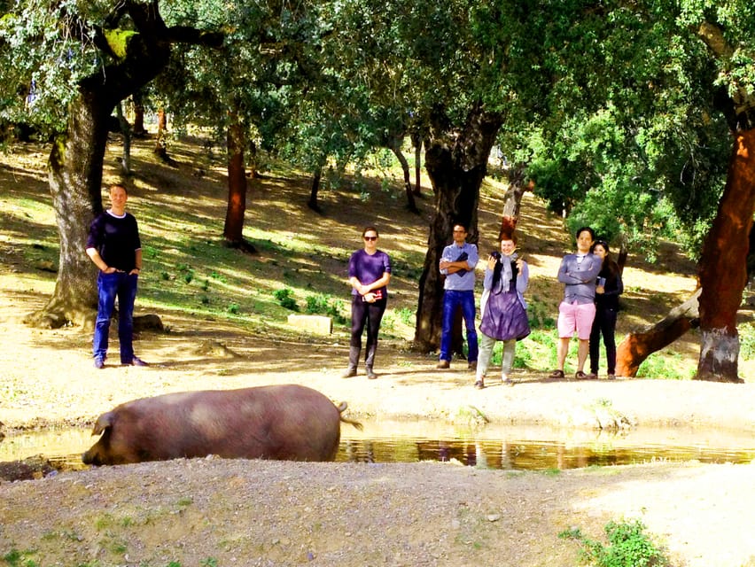 From Seville: Iberian Ham Full-Day Tour to Aracena - Aracena Village Time: Architecture, Atmosphere, and Lunch